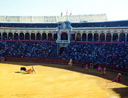 bull fight spain