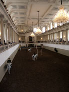 vienna spanish riding school austria