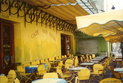 lavender fields provence france