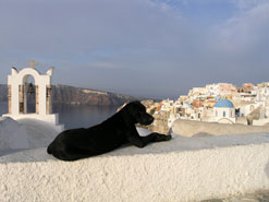 oia santorini greece