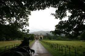 Muskross house ireland