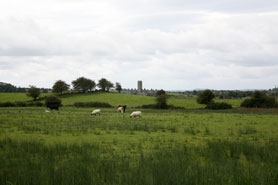 ross errilly friary ireland