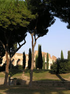 rome colosseum italy