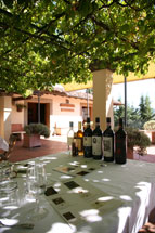 verazzanno winery chianti italy