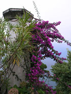 villa rufolo ravello italy