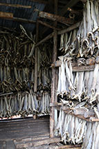 norwegian dried cod