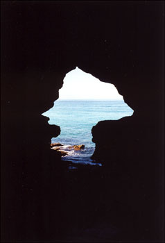 Salvador Dali Screaming