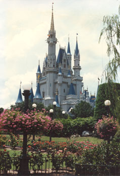 Magic Kingdom