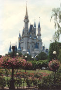 magic kingdom