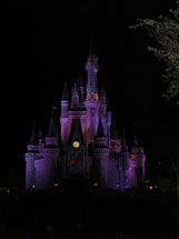 disney nights florida