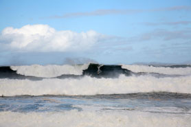 waimea bay surfing