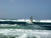 windsurfing
