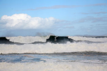waimea bay surfing