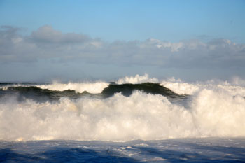 waimea bay surfing
